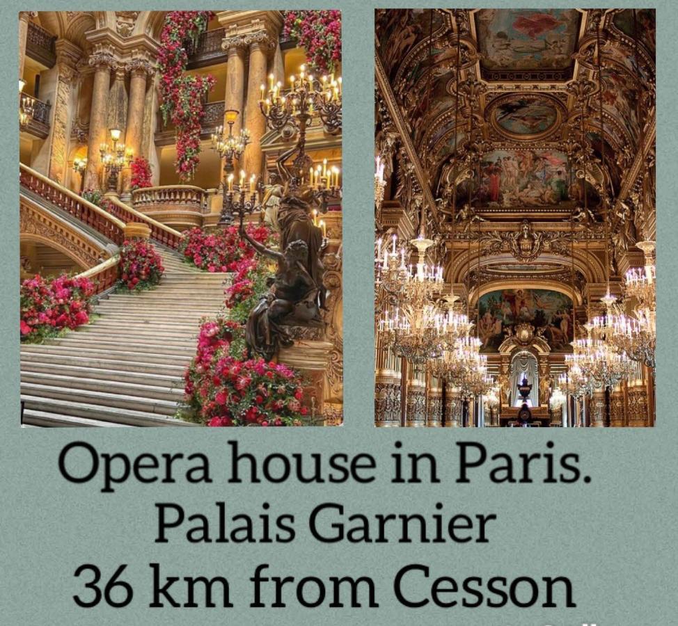 Jetset Parisian * Cesson